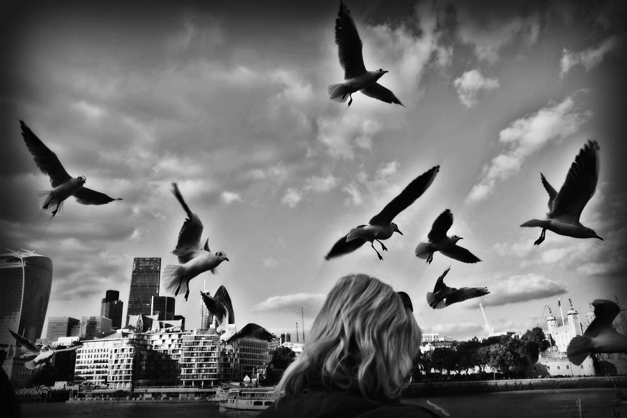 black and white photo of woman looking at birds in the sky in London